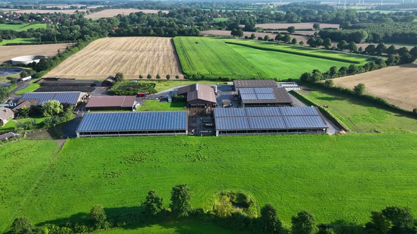 Aerial footage of modern agriculture livestock farm with  photovoltaic panels on the roofs of barn, agricultural fields with corn, biogas plant. View of livestock farms with renewable energy. Royalty-Free Stock Footage #1106788093