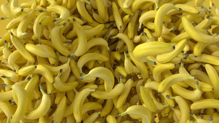 Bananas in Yellow Background. Professional Fresh bananas falling. Realistic animation. Isolate with alpha channel	
 Royalty-Free Stock Footage #1106789767