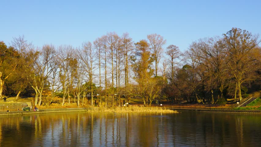 The beautiful view in Osaka