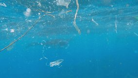 Manta stingray floats ocean eating plankton surrounded by plastic in sea water. Concept environment theme of disposable plastic waste pollution in the ocean, destruction of habitat of marine life