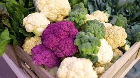 Display of fresh cauliflower and broccoli on display for sale at local farmers market. - Powered by Shutterstock - Get 15% off with code: PIKWIZARD15