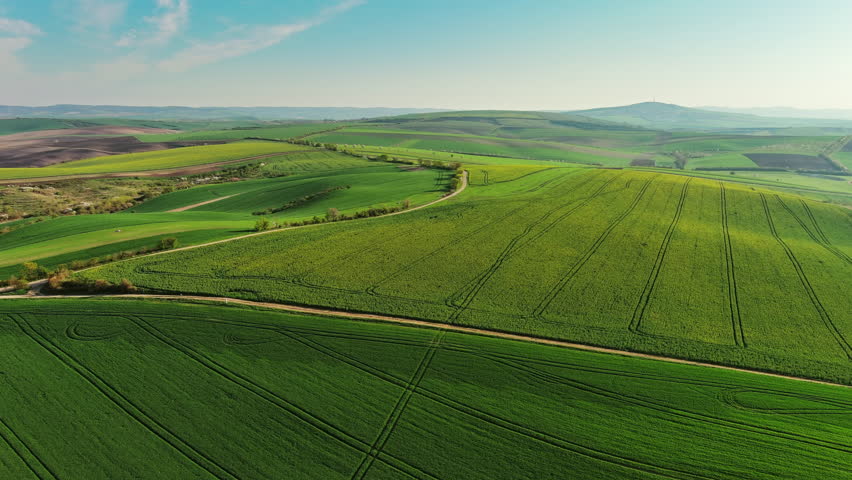 Aerial view of amazing green wavy hills with agricultural fields in spring. South Moravia region, Czech Republic, Europe, 4k