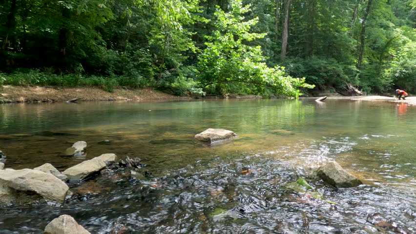Surface level views of a flowing river. A Forest Service worker takes a sample of water from the river in this ecological reserve. Located within Shawnee National Forest in Southern Illinois, USA.