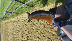 Vertical video of horseback riding. Top view of the horse's neck