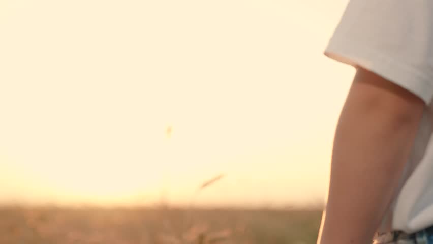 Dad holds out his hand to his son in park at sunset. Happy family, child takes his fathers hand in sun, closeup. Family trust concept. Slowmotion. Father walks with boy in nature, weekend. parent, kid