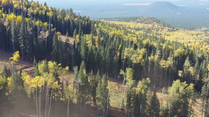 High angle view of the fall color around the famous Arizona Snowbowl near Flagstaff