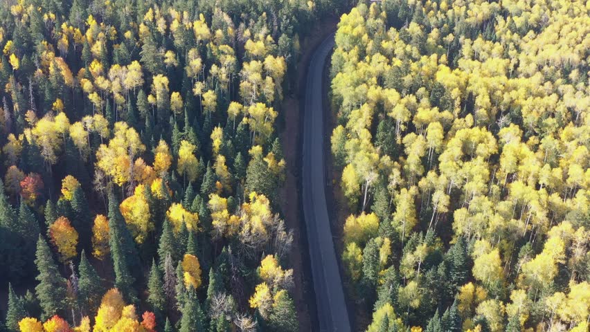 High angle view of the fall color around the famous Arizona Snowbowl near Flagstaff