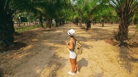 Woman tourist with plait walks looking around at growing young trees with lush leaves at oil palm farm elaeis guineensis on sunny day. Concept of exotic crop cultivation, travel to tropical countries