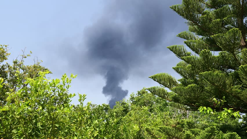 Environmental pollution. Black smoke in the sky from a distant fire, with bright green trees in the foreground. Concept of threatened Nature, unbreathable air. Real time video.