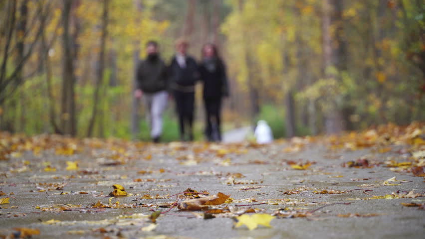 Nature autumn walk. People walking in autumn park forest leaves. Concept healthy lifstyle. Autumn forest leaf fall Royalty-Free Stock Footage #1106836725