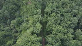 The drone view of hydroelectric pipelines in Baturaden, Central Java, Indonesia. This video was taken on July 31, 2023 by a professional. This aerial video contains a green hydroelectric pipelines