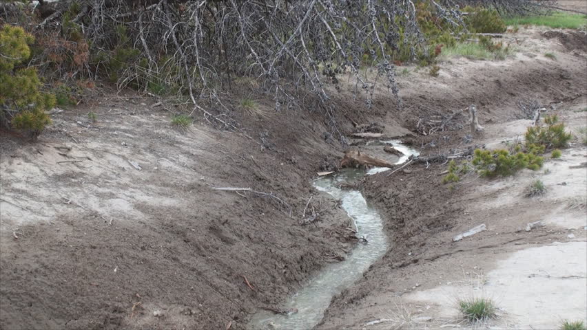Little stream at Yellowstone National Park in Wyoming, USA.