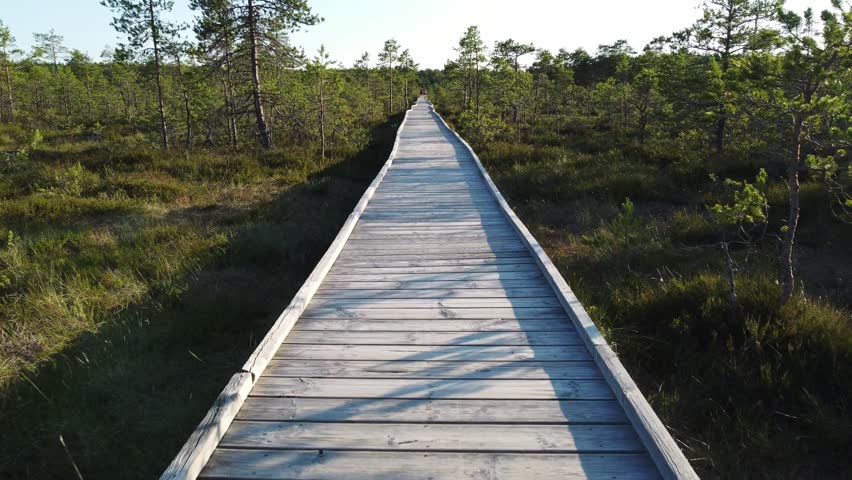 Walking track at Viru Raba or bog at Lahemaa National Park
