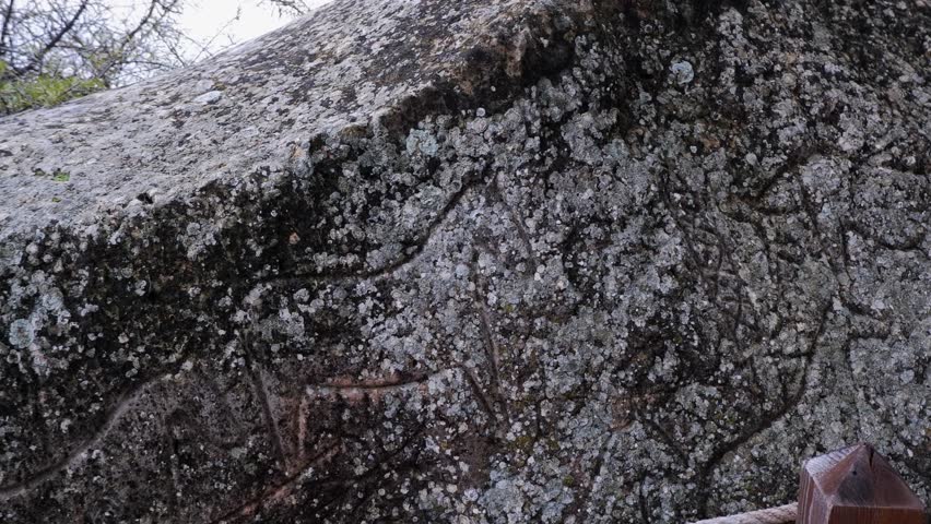 Horses, artwork carved into ancient granite rock by neolithic humans