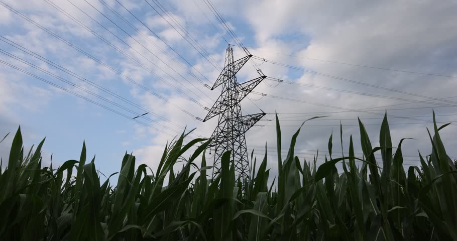 Low angle shot of Maize Feld and electricity pylon supplying cities against cloudy sky Royalty-Free Stock Footage #1106845723