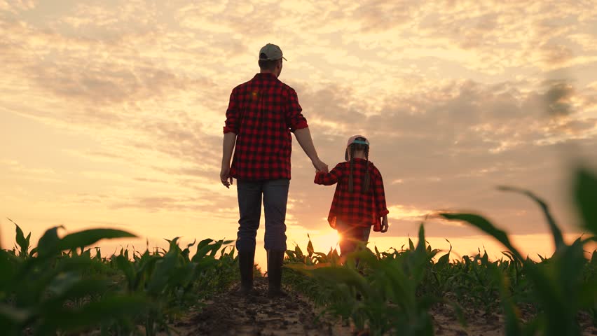 Dad daughter hold hands in field. Father, child walk on field, sunset. Kid girl, dad go hand in hand, field corn sprouts. Family farming business. Agricultural industry. Growing corn, organic food Royalty-Free Stock Footage #1106848337
