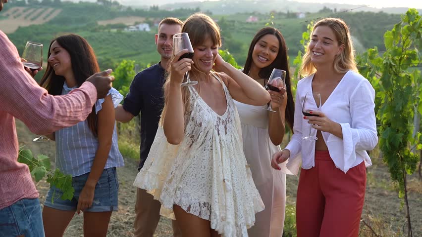 Multiracial friends having fun dancing together at wineyard during sunset time - Summer vacation and wine tasting concept Royalty-Free Stock Footage #1106850967