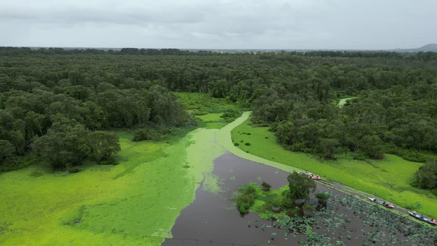 Tra Su Melaleuca forest is the name of a forest with many Melaleuca trees located near Tra Su mountain area of ​​Tinh Bien district, An Giang.