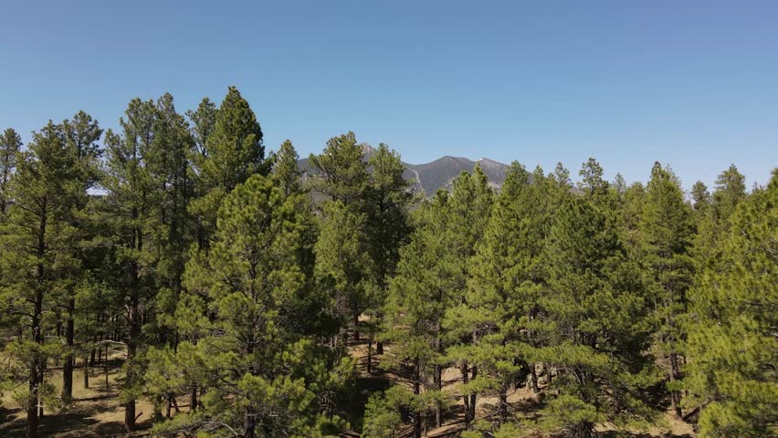 Humphreys Peak in Flagstaff Arizona, Ascending Drone Shot