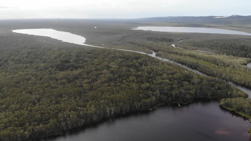 aerial panorama of unique noosa everglades, noosa river and lake cootharaba in south east queensland; unique australian wetlands similar to florida everglades in united states