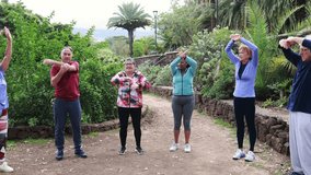 Group of senior people making exercise yoga class outdoors in nature - Elderly sport and Multiracial active community - Powered by Shutterstock - Get 15% off with code: PIKWIZARD15