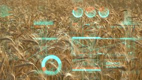 Agricultural business concept. Analytics data and growth graphs against the background of a wheat agricultural field - Powered by Shutterstock - Get 15% off with code: PIKWIZARD15