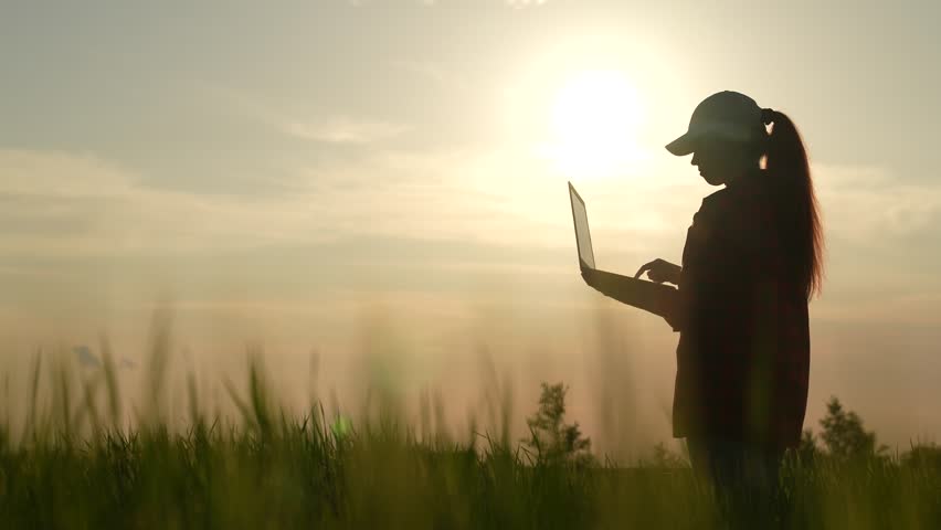 farmer silhouette work field laptop, sunset, silhouette, yield, controlling, corn, partnership, crops, green wheat, outdoors, count expenses income, uses, adult, india, growing, grain shoots young Royalty-Free Stock Footage #1106876325