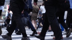 SHIBUYA, TOKYO, JAPAN : Crowd of people walking at Shibuya crossing in daytime. Busy downtown area in Tokyo. Japanese people, lifestyle, urban city life and travel concept video. Slow motion shot.