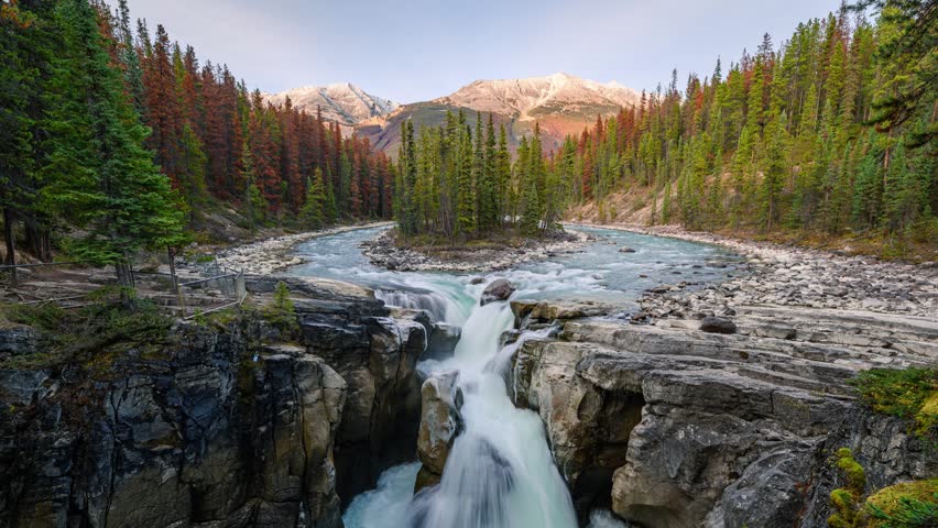Time lapse beautiful scenery of Sunwapta Falls and river flowing in autumn pine forest on the sunset at Icefields Parkway, Jasper national park, Alberta, Canada