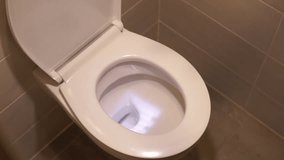 flush toilet with light new toilet