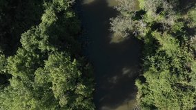 Aerial lake and forest video with drone