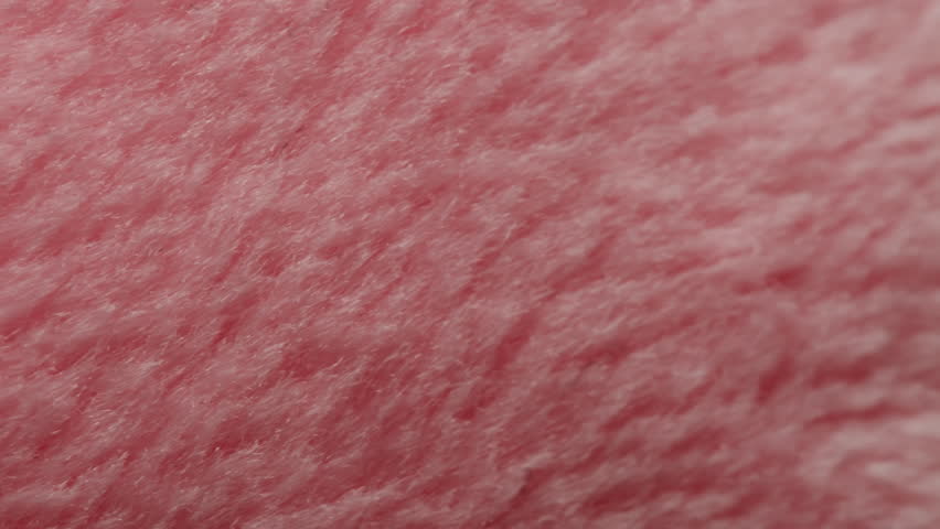Macro detail texture background with sweet rose pink fur or woman hair, rose pink color, beautiful close up of light rose pink fake fur.  Royalty-Free Stock Footage #1106911291