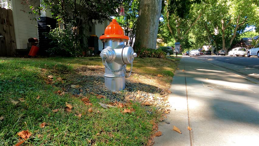 Fire Hydrant in Sacramento Neighborhood