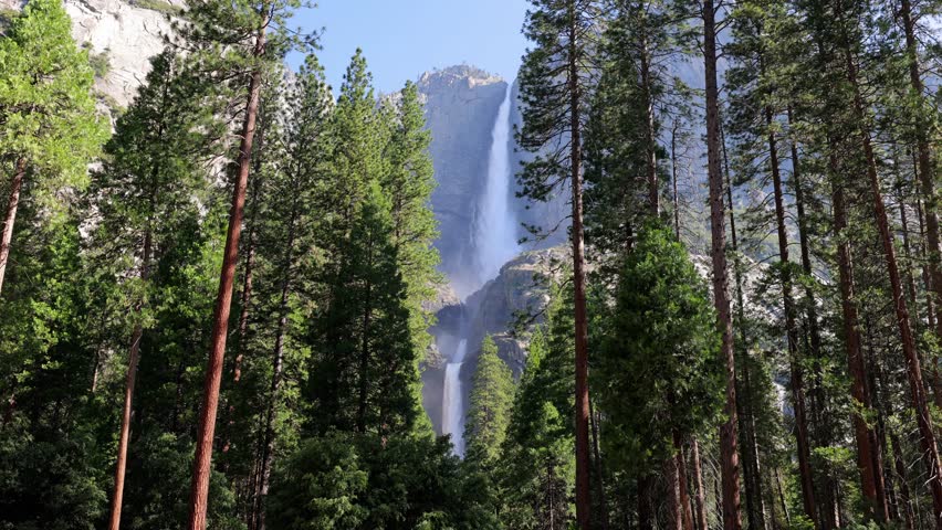 Yosemite Falls seen through the trees at Yosemite National Park in California. Royalty-Free Stock Footage #1106913507