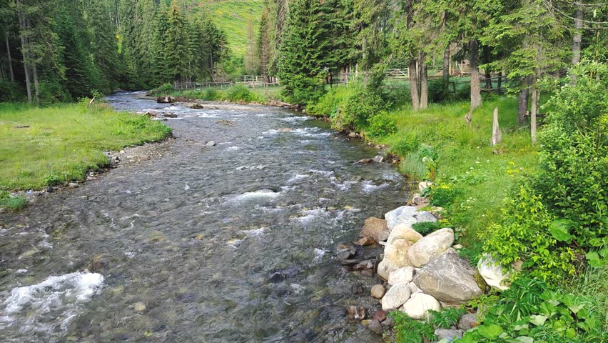 Mountain river in Transfagarasan or Transalpina road in summer. Carpathian mountains in Romania
