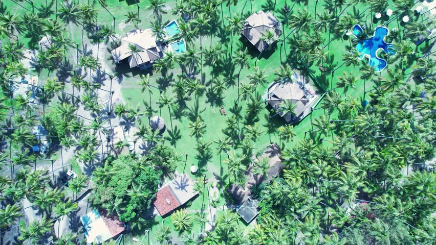 
Praia Muro Alto - Pernambuco Brasil
Muro Alto Beach - Pernambuco  Brazil