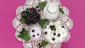 Video of ripe garden blackcurrants and summer organic dairy products for breakfast. Jug of milk, bowl of cottage cheese. Greek yogurt with berries on handmade lace napkin on pink background. Top view
