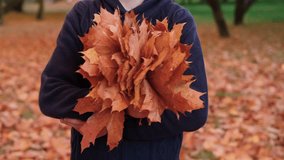 Bouquet of autumn leaves in children's hands. Horizontal slow motion video