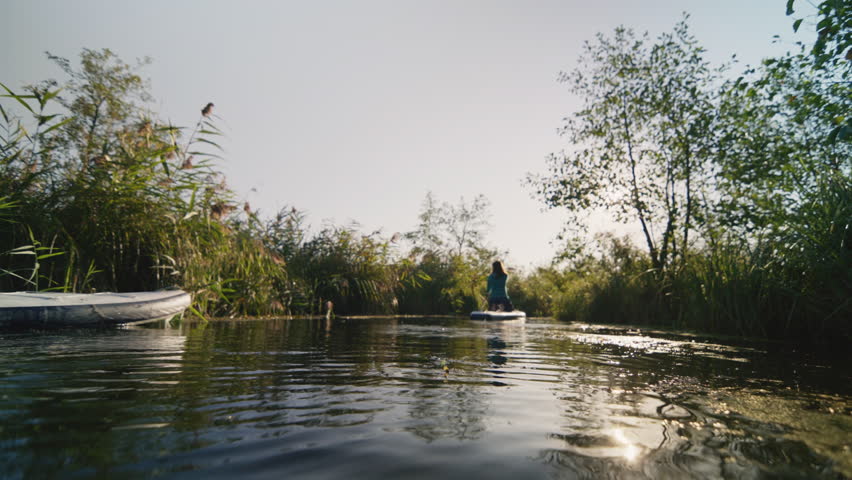 People paddling on SUP boards in narrow river