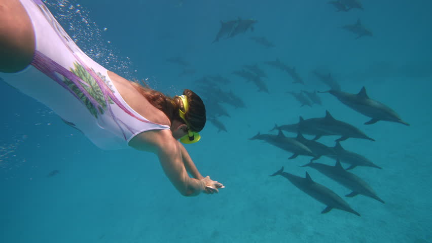Beautiful young woman swimming underwater with dolphins in pristine blue ocean water, amazing snorkeling adventure. Armature freediver girl diving in red sea with bottlenose dolphins. Travel concept