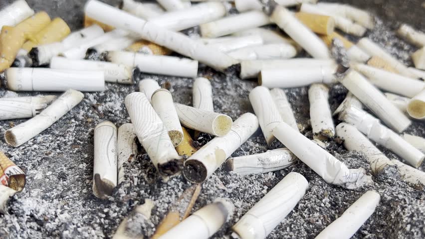 Macro video of a pile of broken cigarettes. Quit smoking concept. Harm from smoking Royalty-Free Stock Footage #1106936005