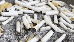 Macro video of a pile of broken cigarettes. Quit smoking concept. Harm from smoking