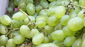 Close-up video of green grapes in a grocery store. High quality 4k footage.