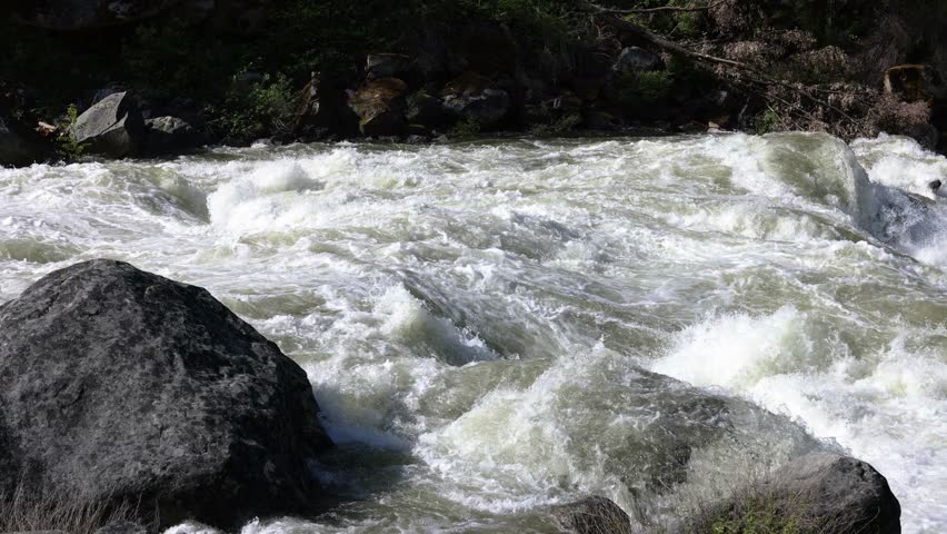 Flooded Merced river in Yosemite valley, Yosemite national park, California, USA in May of 2023