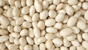 White kidney beans are a rich source of protein, complex carbs, fiber, vitamins, and minerals. Nutrients include iron, potassium, magnesium, folate, and B vitamins. Healthy and nutritious.
