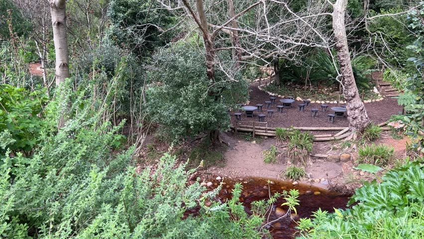 Picnic area under big green trees at the rivers edge