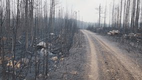 Slow Panoramic Shot Showing The Devastation Of The Kirkland Lake Wildfires, Ontario Canada - Powered by Shutterstock - Get 15% off with code: PIKWIZARD15