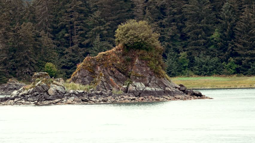 Rocky island or islet along the coast of Alaska near Juneau - eagle on the rocks