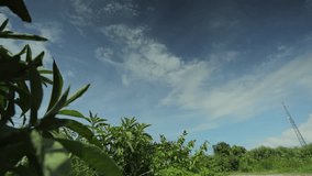 Blue sky white clouds. White clouds. Cloud timelapse. Time lapse of summer blue sky. Nature weather blue sky. White clouds background. interval
