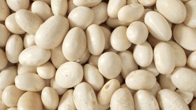 White kidney beans exhibit small oval shape, creamy color, and smooth texture. Rich in nutrients like fiber, protein, and minerals, perfect for a healthy diet.

